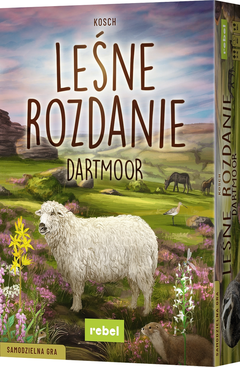 Zdjęie pudełka gry