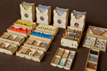 Insert pasujący do gry Szczury z Wistar