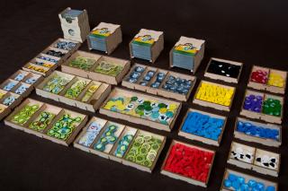 Insert pasujący do gry Ark Nova - wersja 2.0